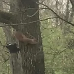 Bus Atypique Au Bord Du Canal Du Midi Et Au Coeur D'une Foret 2 Casa vacanze