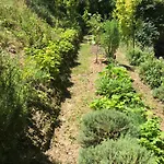 Bus Atypique Au Bord Du Canal Du Midi Et Au Coeur D'une Foret 2 Casa vacanze Villepinte (Aude)