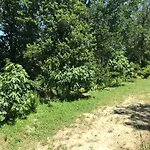 Casa vacanze Bus Atypique Au Bord Du Canal Du Midi Et Au Coeur D'une Foret 2