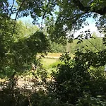 Bus Atypique Au Bord Du Canal Du Midi Et Au Coeur D'une Foret 2
