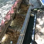 Bus Atypique Au Bord Du Canal Du Midi Et Au Coeur D'une Foret 2 Casa vacanze