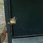 Bus Atypique Au Bord Du Canal Du Midi Et Au Coeur D'une Foret 2