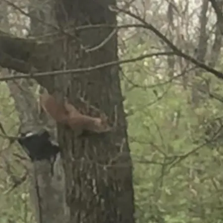 Bus Atypique Au Bord Du Canal Du Midi Et Au Coeur D'une Foret 2 Dom wakacyjny