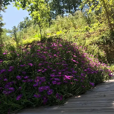 Bus Atypique Au Bord Du Canal Du Midi Et Au Coeur D'une Foret 2 Vakantiehuis *