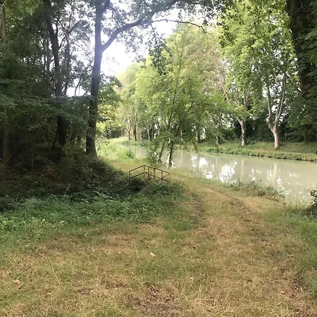 Bus Atypique Au Bord Du Canal Du Midi Et Au Coeur D'une Foret 2 *