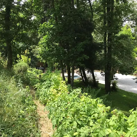 Bus Atypique Au Bord Du Canal Du Midi Et Au Coeur D'une Foret 2 Vakantiehuis