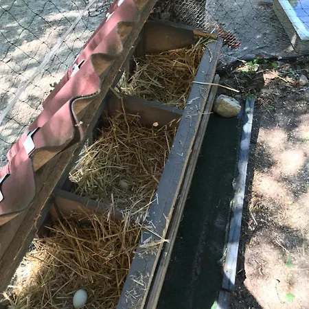 Bus Atypique Au Bord Du Canal Du Midi Et Au Coeur D'une Foret 2 *