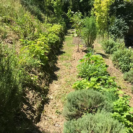Bus Atypique Au Bord Du Canal Du Midi Et Au Coeur D'une Foret 2 Dom wakacyjny Villepinte (Aude)