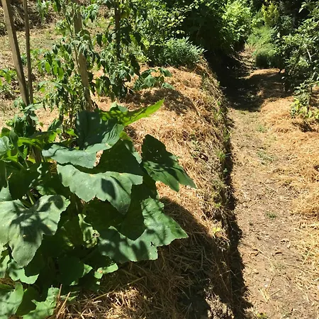 Vakantiehuis Bus Atypique Au Bord Du Canal Du Midi Et Au Coeur D'une Foret 2 Villepinte (Aude)