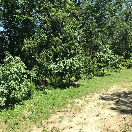Дом отдыха Bus Atypique Au Bord Du Canal Du Midi Et Au Coeur D'une Foret 2