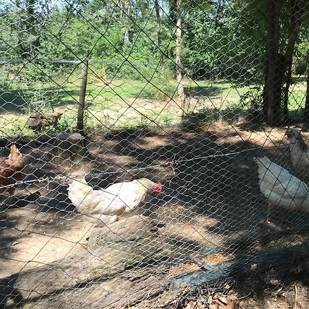 Bus Atypique Au Bord Du Canal Du Midi Et Au Coeur D'une Foret 2 Vakantiehuis