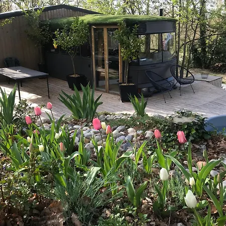 Bus Atypique Au Bord Du Canal Du Midi Et Au Coeur D'une Foret 2