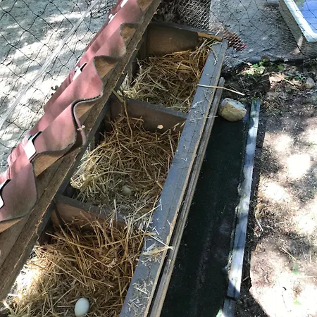 Bus Atypique Au Bord Du Canal Du Midi Et Au Coeur D'une Foret 2 Dom wakacyjny