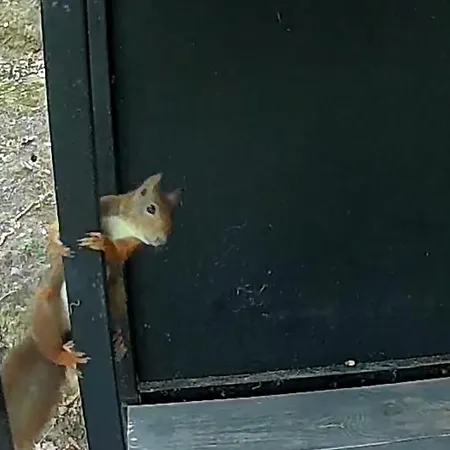 Bus Atypique Au Bord Du Canal Du Midi Et Au Coeur D'une Foret 2