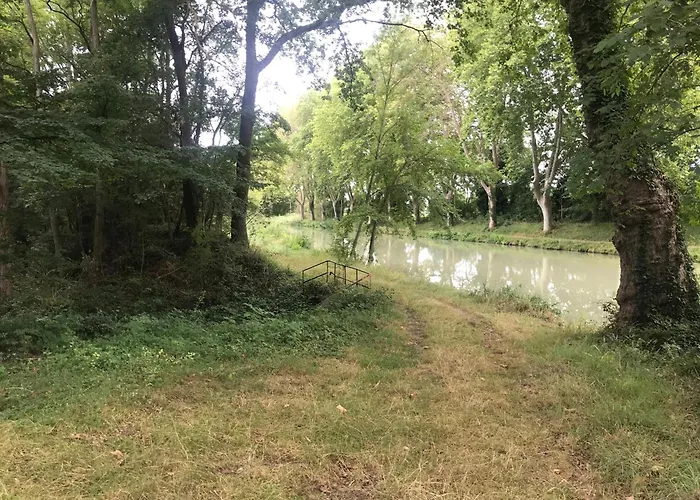 Bus Atypique Au Bord Du Canal Du Midi Et Au Coeur D'une Foret 2 *