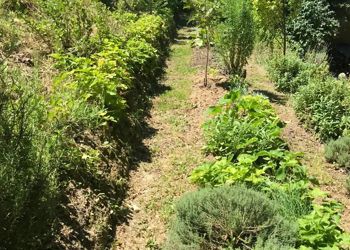 Bus Atypique Au Bord Du Canal Du Midi Et Au Coeur D'une Foret 2 Feriehus Villepinte (Aude)