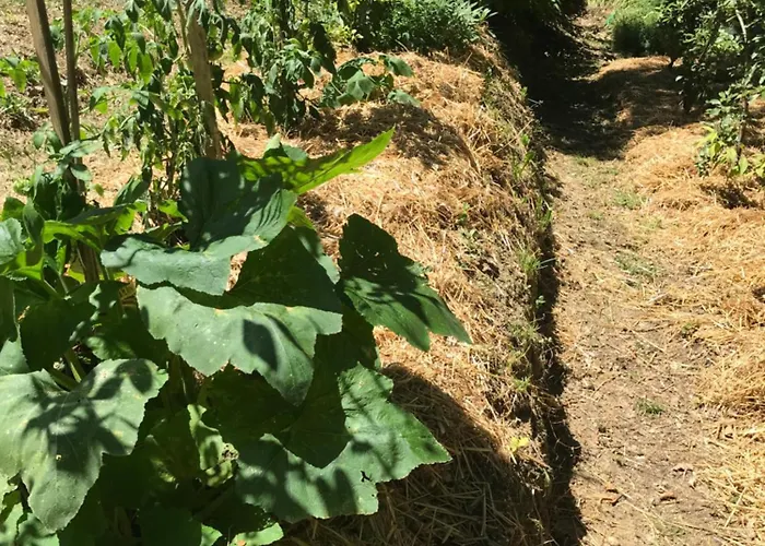 Feriehus Bus Atypique Au Bord Du Canal Du Midi Et Au Coeur D'une Foret 2 Villepinte (Aude)