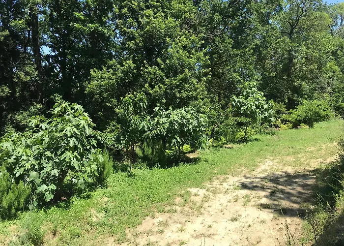 Feriehus Bus Atypique Au Bord Du Canal Du Midi Et Au Coeur D'une Foret 2