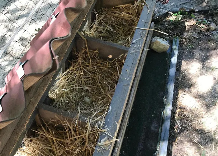 Bus Atypique Au Bord Du Canal Du Midi Et Au Coeur D'une Foret 2 Feriehus