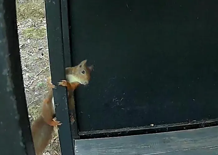 Bus Atypique Au Bord Du Canal Du Midi Et Au Coeur D'une Foret 2